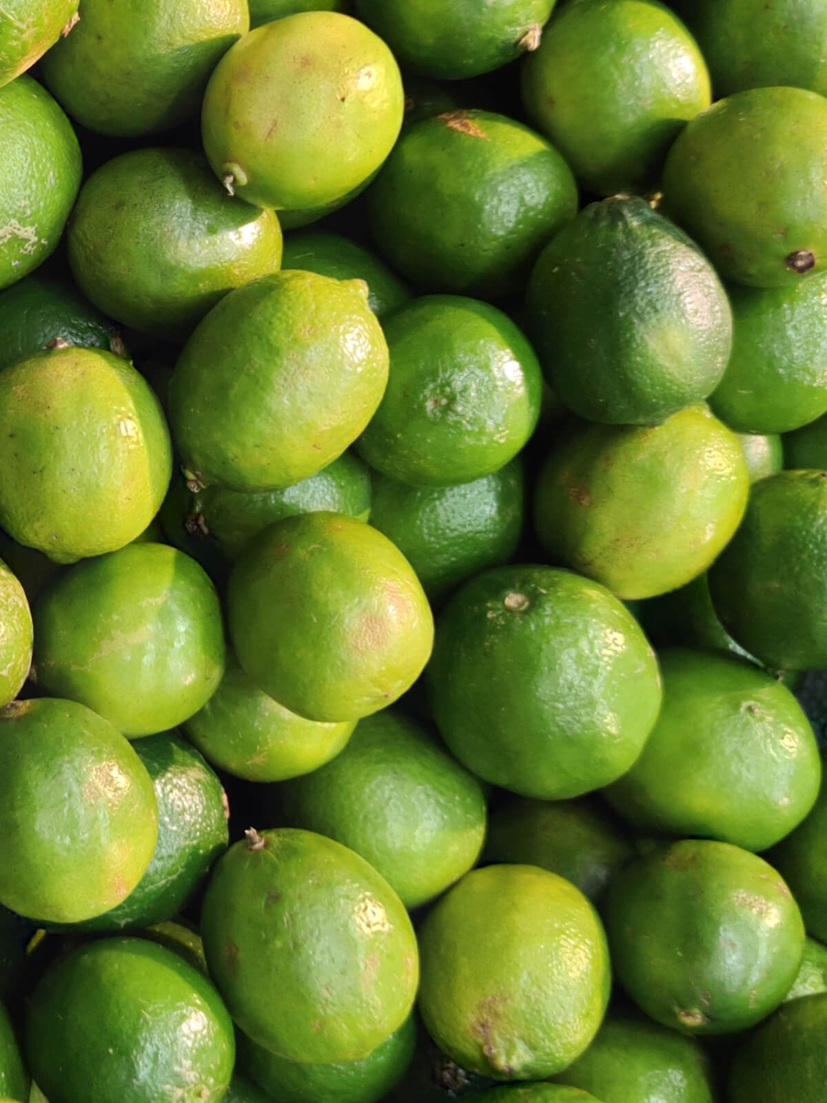 HerbaTherapy Zöld citrom (lime) illóolaj Citrus aurantifolia HerbaTherapy Zöld citrom (lime) illóolaj Citrus aurantifolia