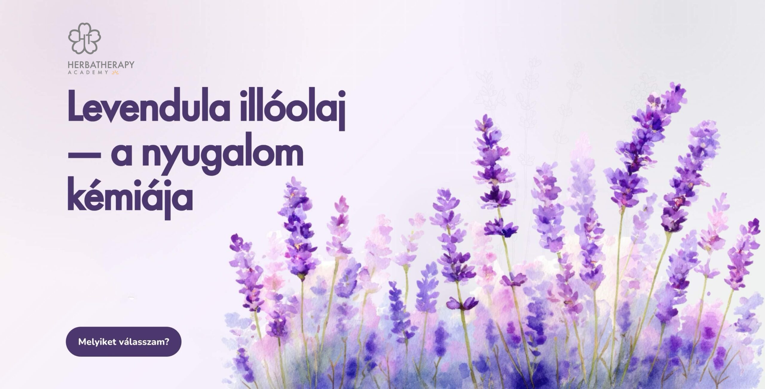 A Levendula illóolaj – a nyugalom kémiája című Tudástár-cikk borítóképe